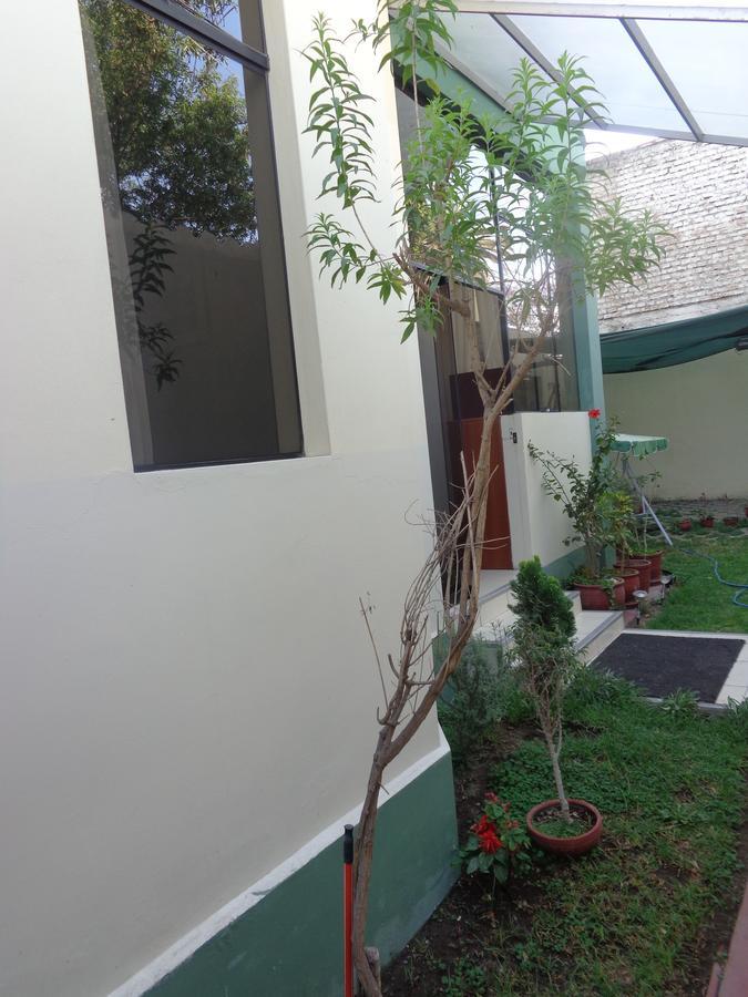 ארקוויפה Hospedaje Nasara מראה חיצוני תמונה